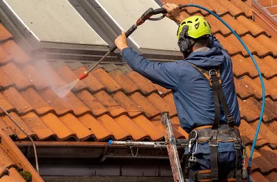 Démoussage et hydrofuge de toiture à Bastelica